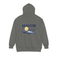 Havor Classic Fleece Hoodie With Back Graphic